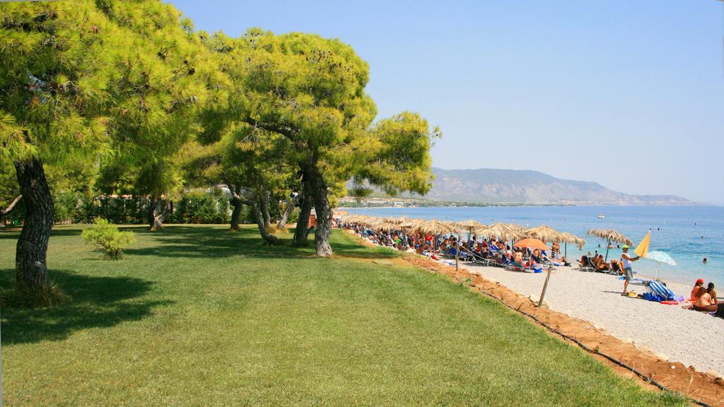 Siagas Beach Hotel Agioi Theodoroi Exterior photo