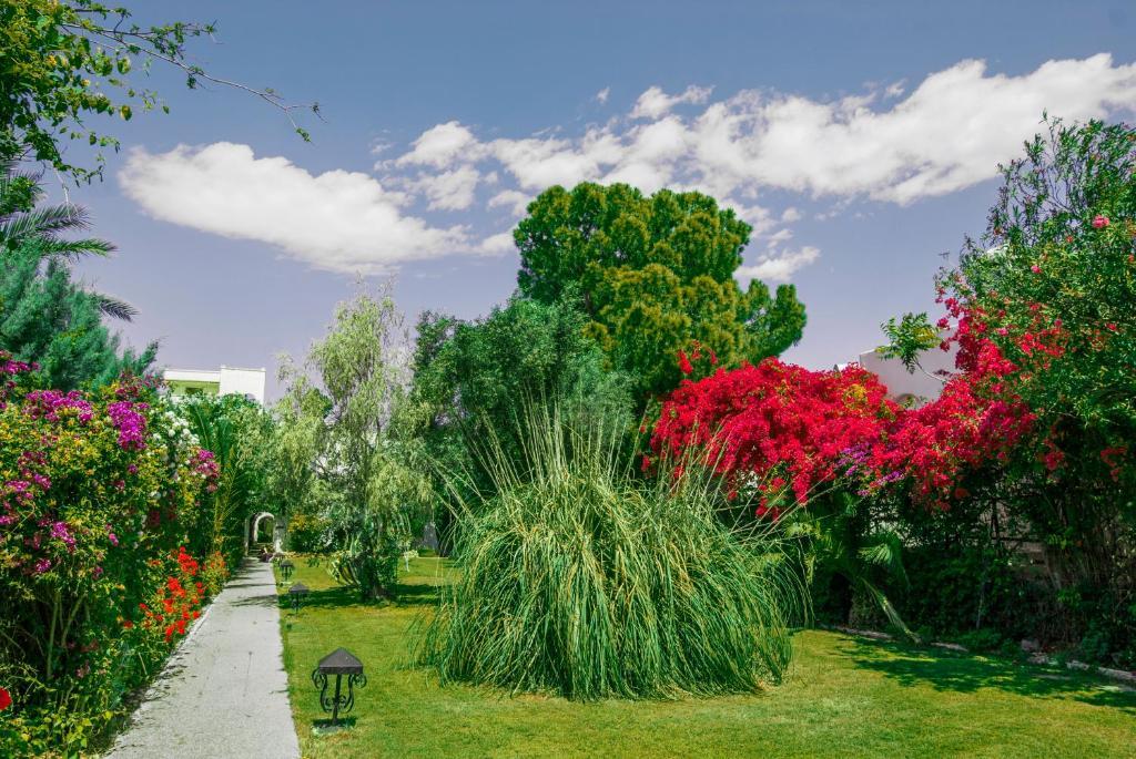 Siagas Beach Hotel Agioi Theodoroi Exterior photo
