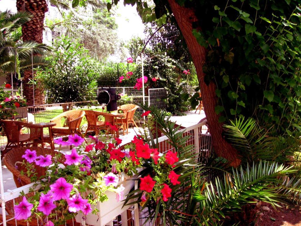 Siagas Beach Hotel Agioi Theodoroi Exterior photo